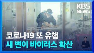 여름철 코로나19 재유행…입원환자 한 달 새 5배 이상 ↑ / KBS  2024.08.02.