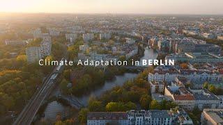 TRAILER - The Nature Conservancy Climate Adaptation Plan for Berlin