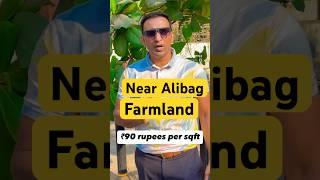 Farm house land  best deal near Alibag 90rs  sqft call 7860044234