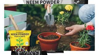 TrustBasket Neem #Cake Powder Organic Fertilizer  #Plant