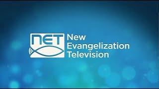 NET  TV  Promo Reel & Highlights (2018)