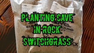 Planting Switchgrass