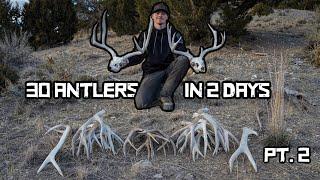 Deer Sheds Galore | PT.2 | Shed Hunting 2025