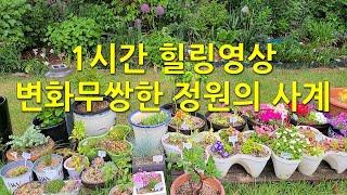 1시간 힐링영상 - 정원의사계. 1 hour healing video - 'Four Seasons of the Garden'