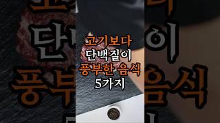 고기보다 더 단백질이 풍부한 음식 5가지