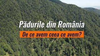 Pădurile din România. De ce avem ceea ce avem?