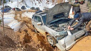 ТОЛЬКО 1 ИЗ 8 ЗАБЕРЁТ ДЕНЬГИ! Остальные — В РЕМОНТ  Оффроад игры Extreme Stars