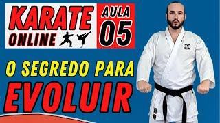 KARATE ONLINE | Aula 05: TÉCNICAS PRINCIPAIS DO KARATE