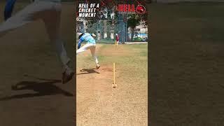 Hell of a cricket Moment!! #helenergy #hellofamoment #hell  #cricketgraph #cricketvideos