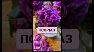 #психолог#псориаз#кожныеболезни#одесса#психосоматика#болезни#лечениезаболеваний#лечение#украина