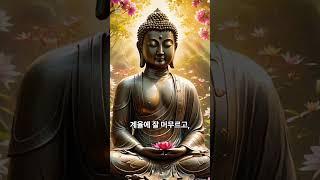 제1장 게송10 #불교 #불교가르침 #불교신자 #불교교리 #불교경전 #불교공부 #불교크리에이터 #buddhism #Buddhist #buddha #practice #스님