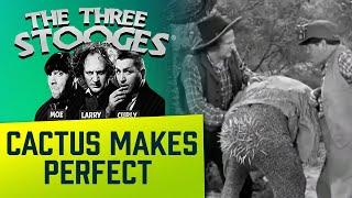 The THREE STOOGES - Ep. 61 - Cactus Makes Perfect