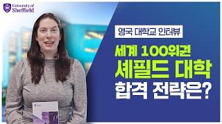 [영국대학] 셰필드 대학교 합격 전략 공개! | 지원시 꼭 알아둘 것, 장학금 안내