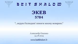 ЭКЕВ 5784. "...верую Господин! помоги моему неверию." (Александр Огиенко 24.08.2024)