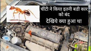 चींटी ने किया गाडी को बंद/ Vento Starting Problem / Car Not starting/ P0685/Crank but won't Start