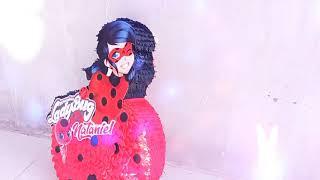 Ladybug piñata