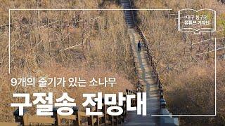 [대구 동구청 유튜브 기자단 1기] 9개의 줄기가 있는 소나무를 만날 수 있는 곳 :: 구절송 전망대 - 김종우 기자