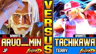 SF6 Terry Bogard (Tachikawa Vs Aruo_Min) ▰ High Level