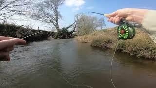 Fly Fishing In Devon, River Creedy