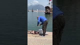 Аланья. Вот это рыбалка! 