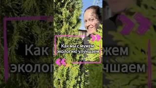 Как мы с мужем экологию улучшаем