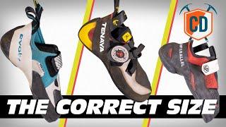 Evolv, Tenaya & Unparallel Climbing Shoe Sizes | Climbing Daily Ep.1792