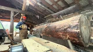 Sawmill Sunday Best