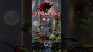 #unfreezemyacount #fyp #foryoupage️️ #urdupoetry