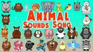 Animal Sounds Song | Animal Sounds for Babies | LittleKidsTV