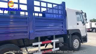 Sinotruk Howo 6x4 Cargo Truck