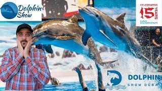 Dubai Dolphin Show | Dubai Dolphinarium - Dolphin & Seal Show