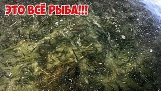 ХОДИМ по РЫБЕ! Кристально прозрачный ПЕРВЫЙ ЛЕД! Рыбалка зимой удивляет