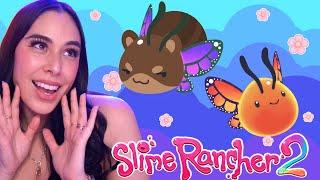 Starting a Flutterfly Farm in Slime Rancher 2