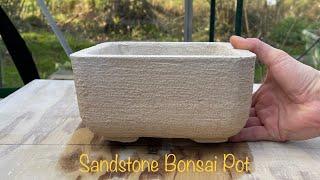 Making a Concrete Bonsai Pot with White Cement