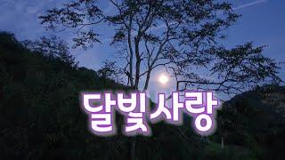 달빛사랑
