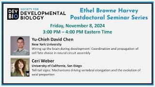 SDB Ethel Browne Harvey Postdoctoral Seminar Series - Yu-Chieh David Chen and Ceri Weber