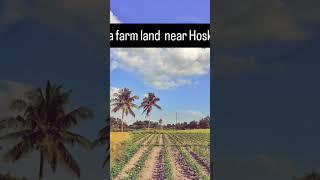 One acre farm land near Hoskote please contact 9880173203