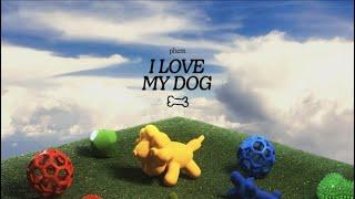 i love my dog (lyric video)