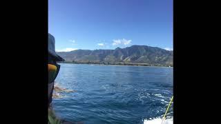 Hydrofoil lesson Kiteboarding Paradise Hawaii