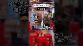 술못마시는 사람의 브이로그 #알쓰