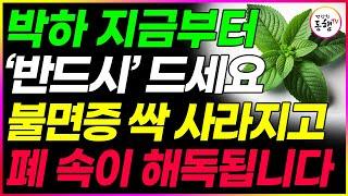 대추와 박하를 이것과 같이 먹으면 내장지방과 뱃살 빼주고 불면증 싹 사라집니다 대추 효능 꼭 이렇게 드세요 (박하효능 폐 기관지 독소 배출 건강 정보)