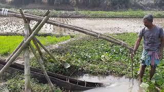 ডোঙা/ডোঙ্গা/দোন দিয়ে কিভাবে জল সেচ করা হয় /Old irrigation process