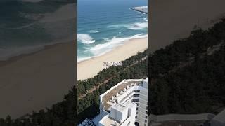 [#강릉여행 꿀팁] 평일 8만원대 #가성비 #오션뷰 #호텔 추천!