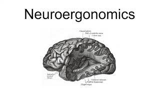 Neuroergonomics