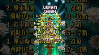 人過世後的六道輪迴#阿彌陀佛 #佛祖 #保佑 #平安 #菩薩戒 #愿众生平安吉祥#生活小常識