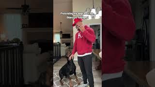 There’s no pretending with that second one  #reels #funny #pets #comedy #shorts #suavexavier
