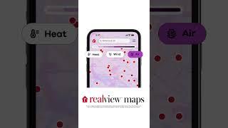 RealView Maps