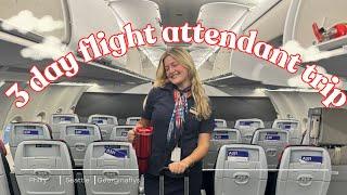 I got stuck in Dallas!!! - flight attendant vlog