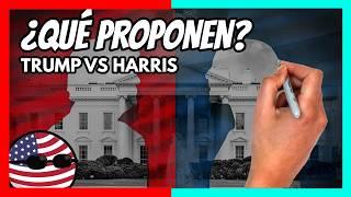  ¿Qué proponen KAMALA HARRIS y DONALD TRUMP? | Análisis de los programas de las elecciones EE.UU.