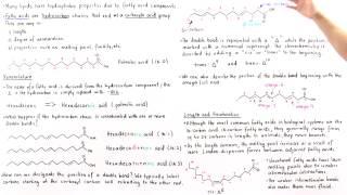 Fatty Acids